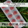 Kamagra 100Mg Oral Jelly Sildenafil 5Gm 18